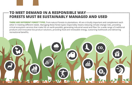 biocentric forest management essay Biocentric forest management essay why have you decided to pursue a career in nursing rather than any other health science field practical vs. biocentric forest management essay Biocentric forest management essay why have you decided to pursue a career in nursing rather than any other health science field practical vs.