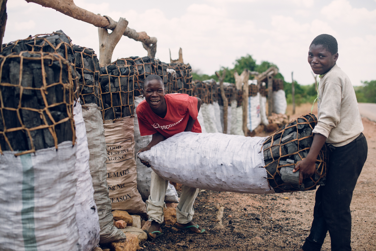 thumbnail of  Fieldwork diary: Kalomo District, Zambia