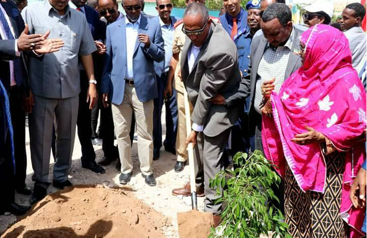 thumbnail of  Somaliland president launches new annual reforestation day