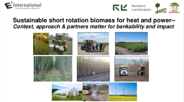thumbnail of  Sustainable short rotation biomass for heat and power
