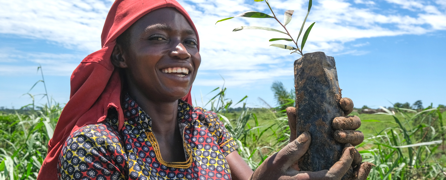 thumbnail of  1 million trees planted to energize the Congo Basin forests