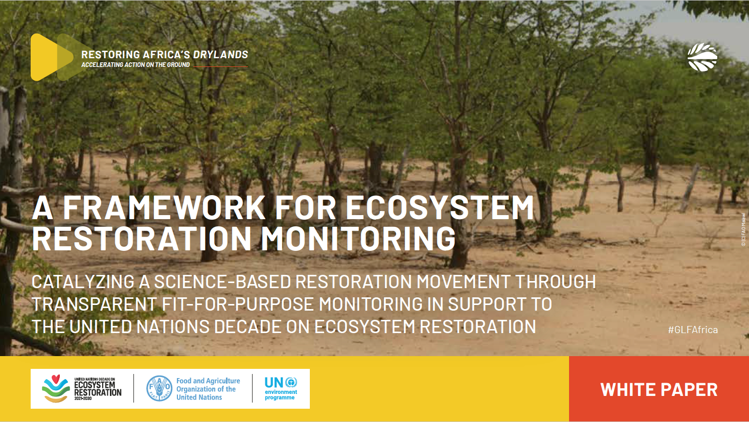 thumbnail of A Framework for Ecosystem Restoration Monitoring: Catalyzing a Science-Based Restoration Movement through Transparent, Fit-for-Purpose Monitoring in Support to the United Nations Decade on Ecosystem Restoration