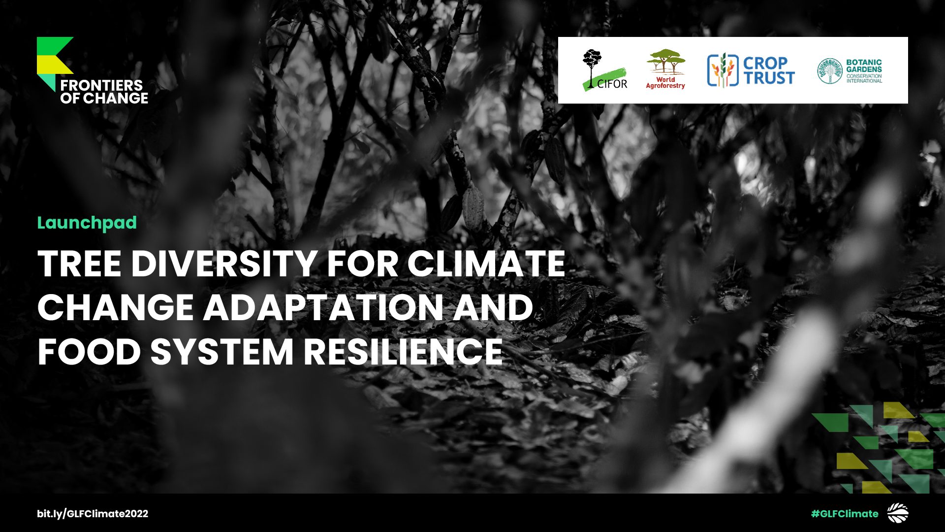 Tree diversity for climate change adaptation and food system resilience