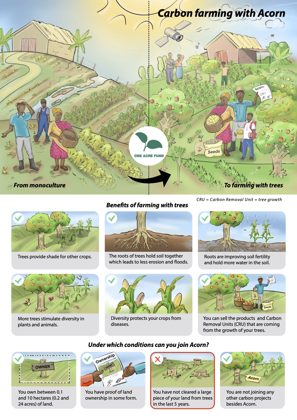 Carbon farming with Rabobank