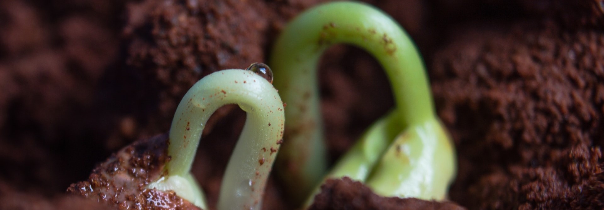 thumbnail of  7 steps to launch your own restoration project 