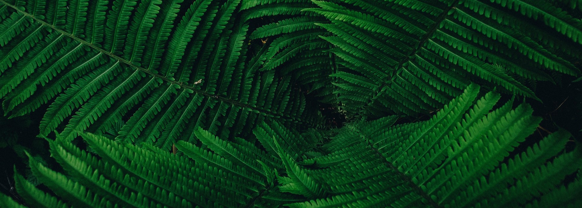 thumbnail of  7 pasos para comenzar tu propio proyecto de restauración