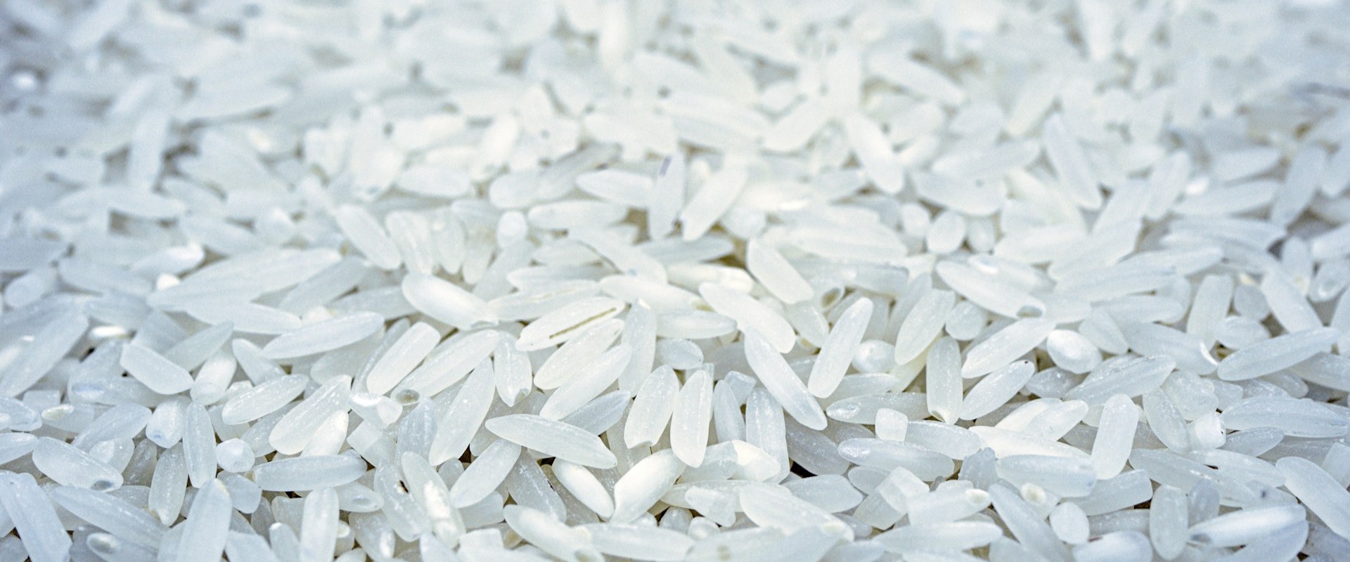 thumbnail of How can we reduce emissions from rice?